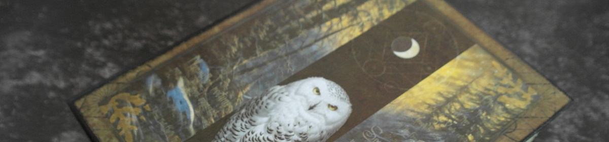 971008a6-ef81-42ed-9ded-015d68b36795