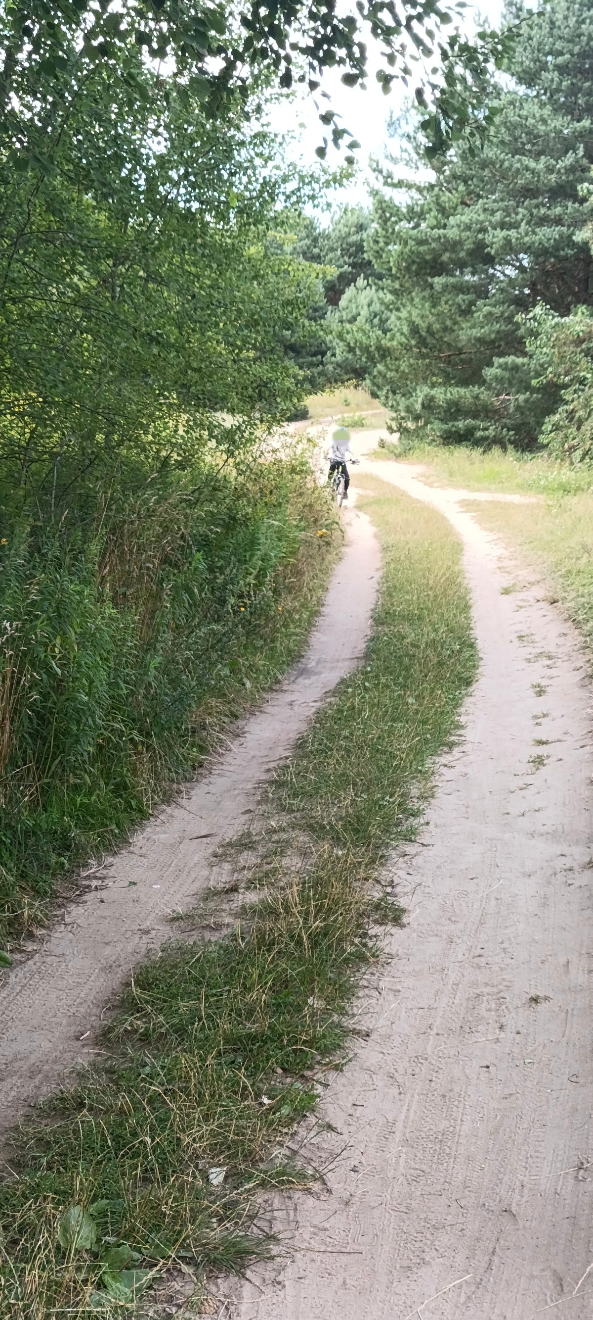 6167adaa-5703-441d-9b6c-fabf05a63d3e