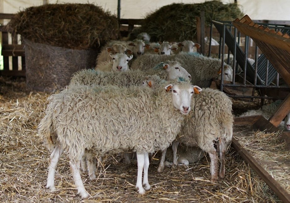 45ba6543-eea3-4d13-bc74-abafc88bdbb7