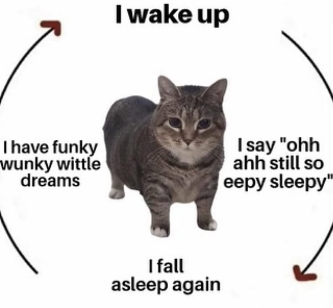 40b47c12-9d6c-41a0-bea2-d31573c6ce54