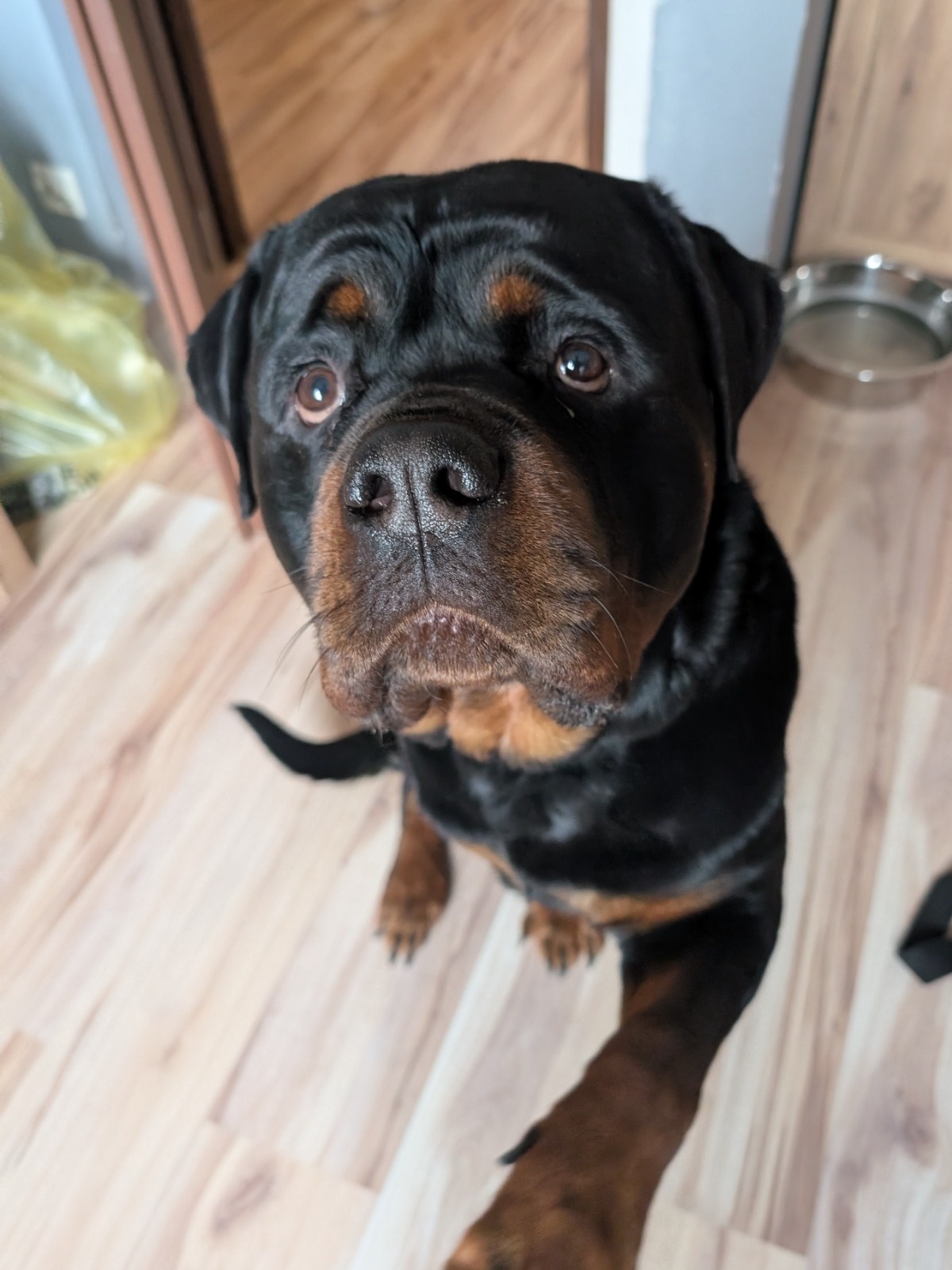 e76177f2-fbae-48f0-9393-a576170e36a7