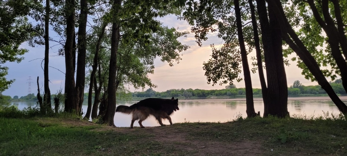 7def66e3-a1a7-4494-be3b-9d98ddaf835c