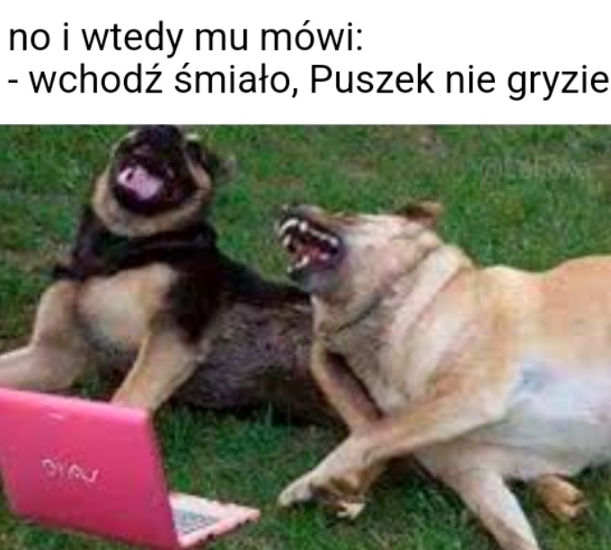 1dde7a67-146c-4baf-8794-a2fb4b4fd5a1