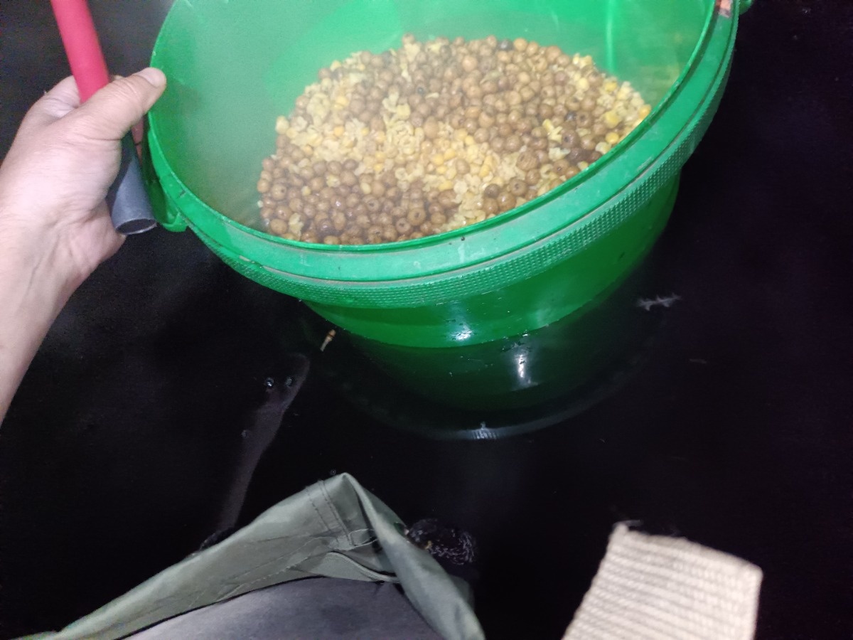 53f937ce-2326-4c71-8051-a58e25f99134