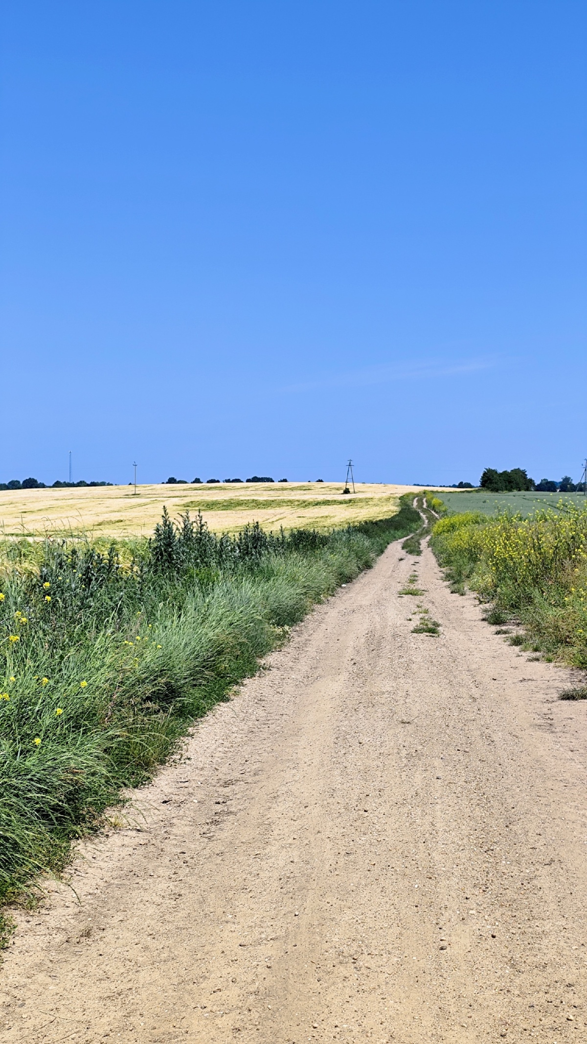 777da7e9-ec79-46bc-99da-cd2374f2ff9a