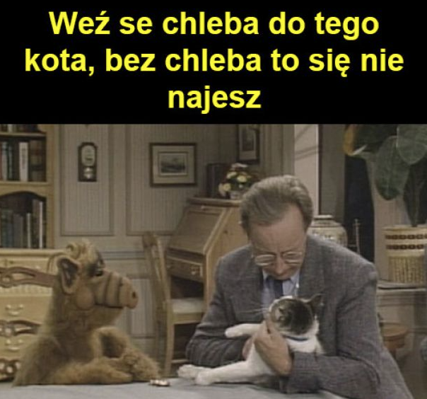 2e8eaf2f-eb28-4206-b1d6-c06d960ed663