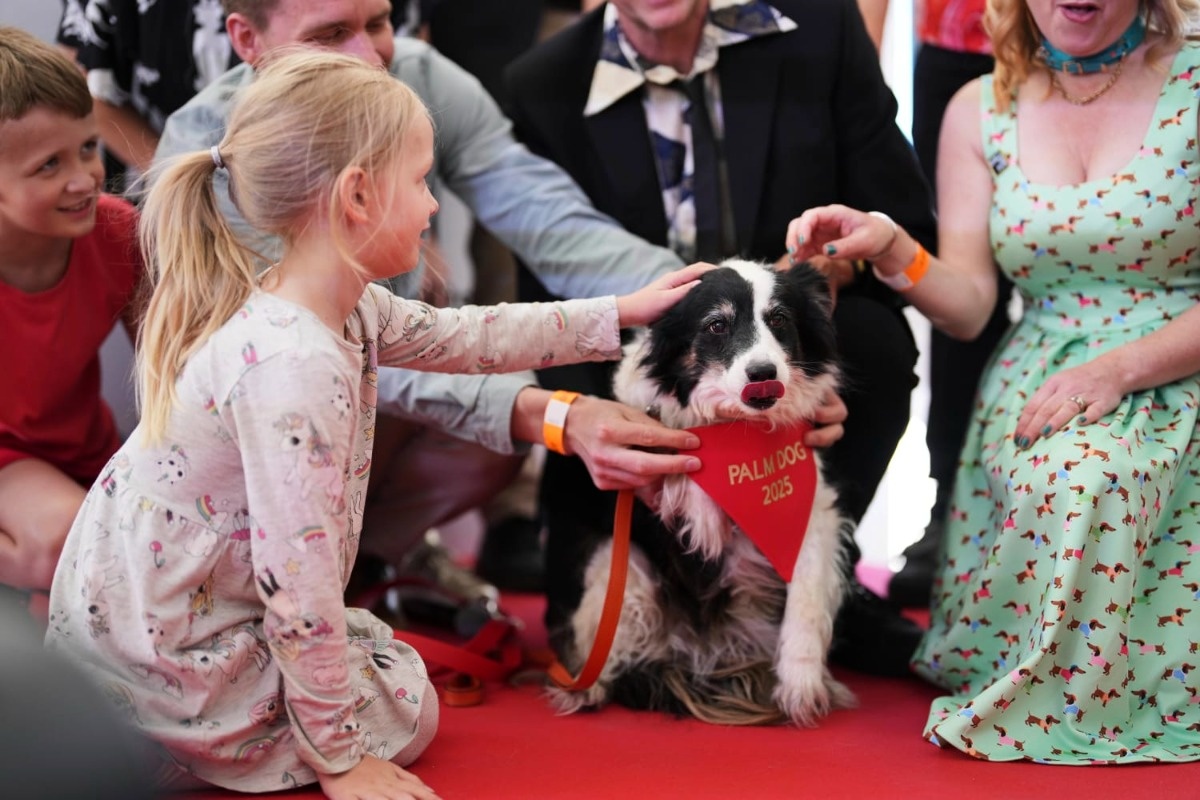 Panda Zdobywa Nagrodę Palm Dog 2025 na Festiwalu w Cannes 2