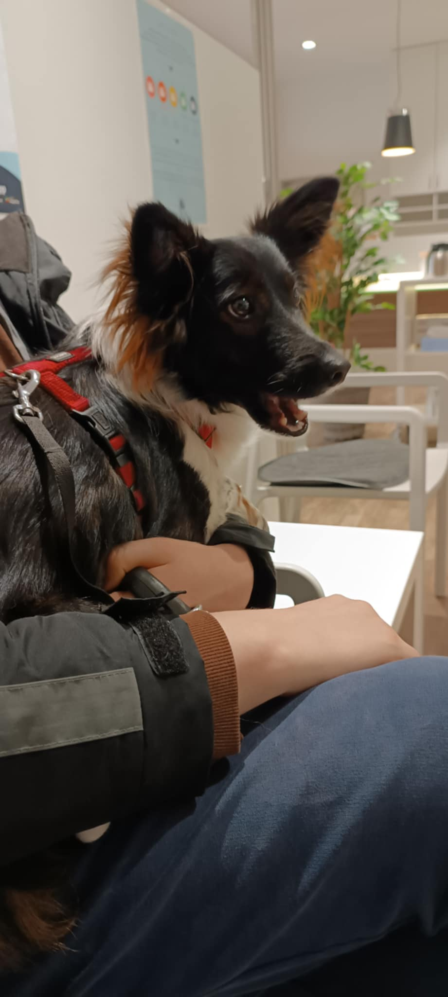 9d896fb9-fa75-46f7-8877-b36e63874153