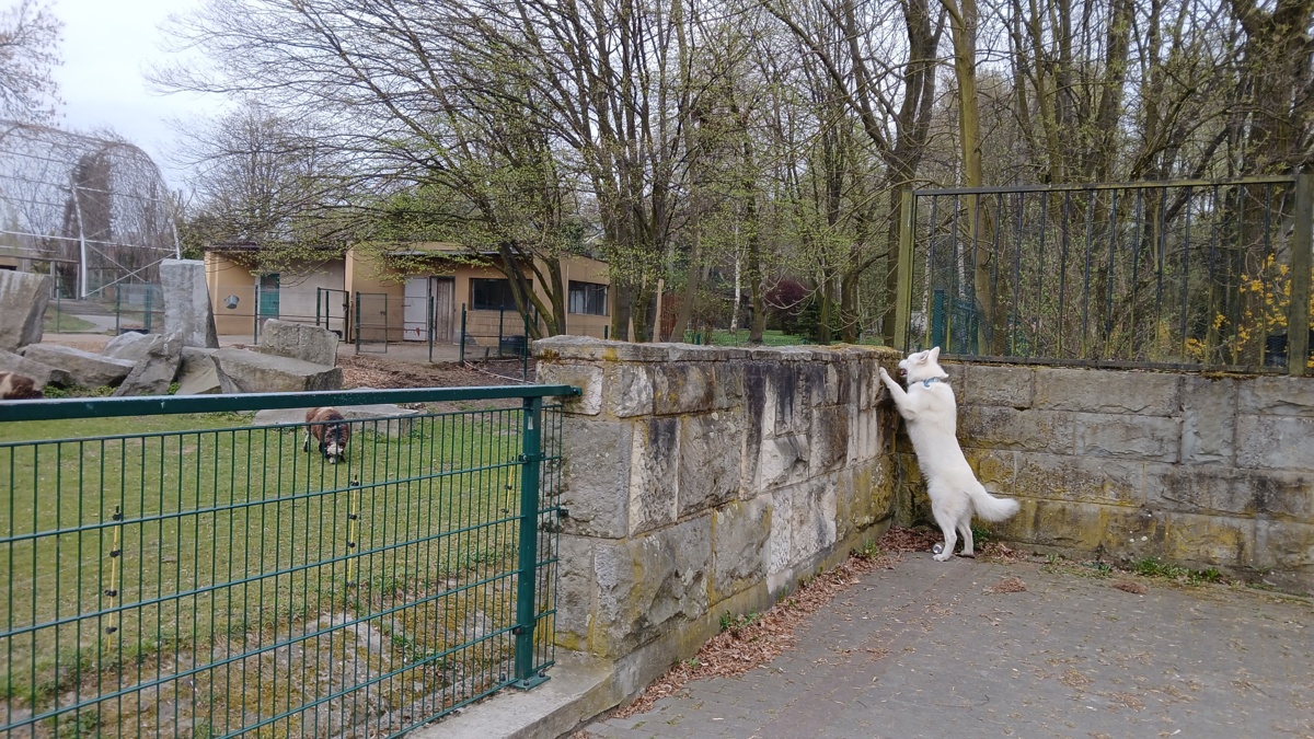 23770375-845a-4911-ac1a-92b686c32adb