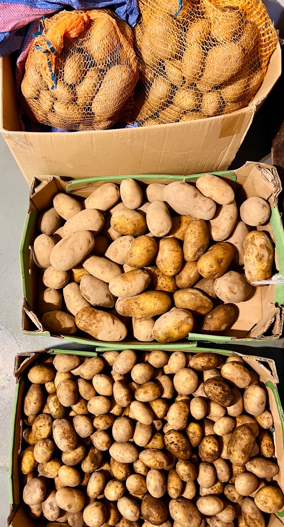 f1e1294f-a30f-4e13-a62a-d7ef4fb5c4e5