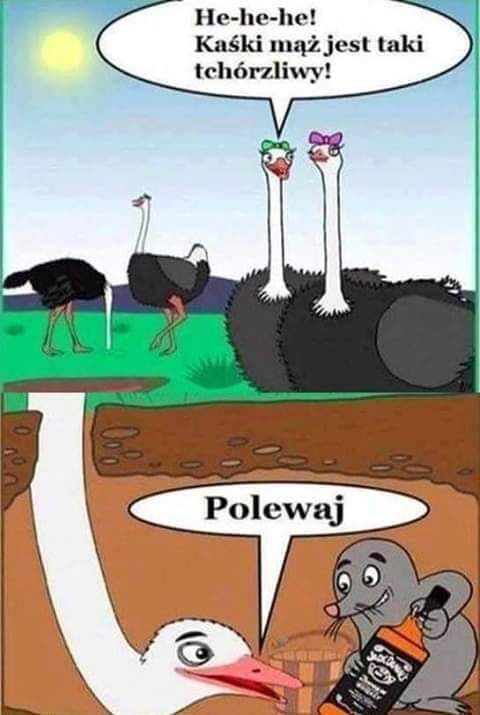 7ff034a8-6a04-4dd3-819e-f58bc999c444