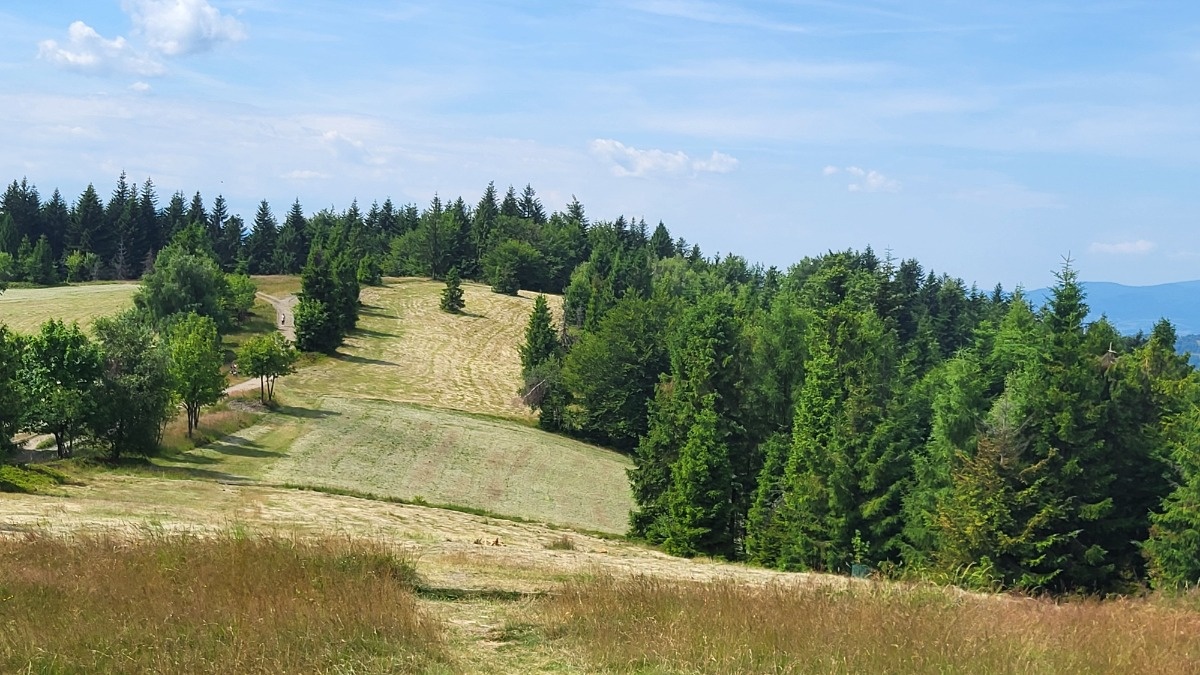 7e01db50-9ccf-4a6b-9c73-d1ff7b2e0510