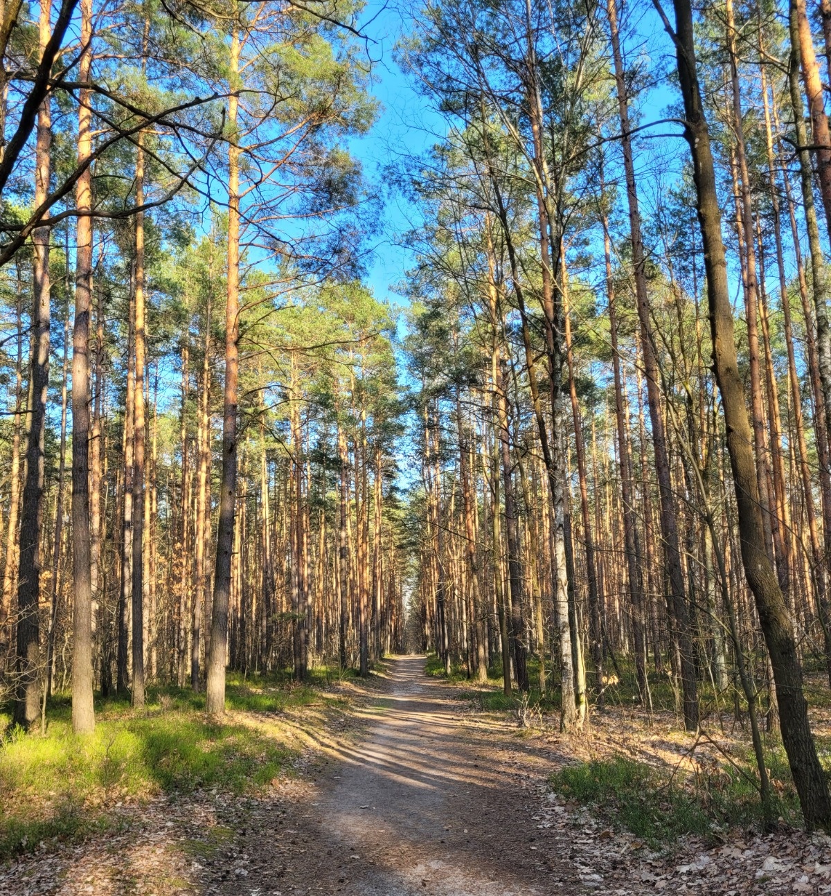 09253da7-1110-4328-9d22-8c62bf5667a4