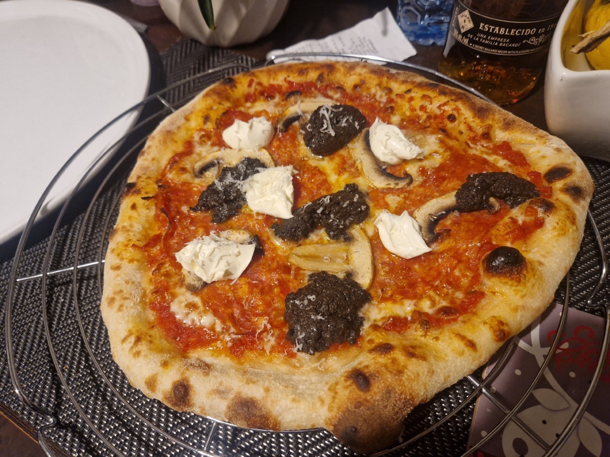 e0069037-11f4-4377-93ea-0ffea13fb830