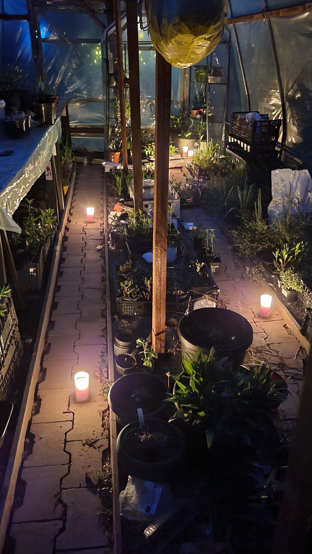 65a9009d-a208-4a53-9515-5dab157afbca