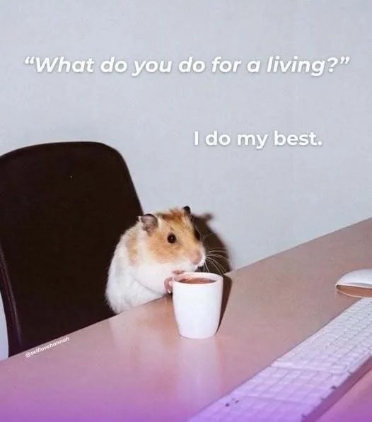 42720d05-e751-4779-86df-8fe872455cf2