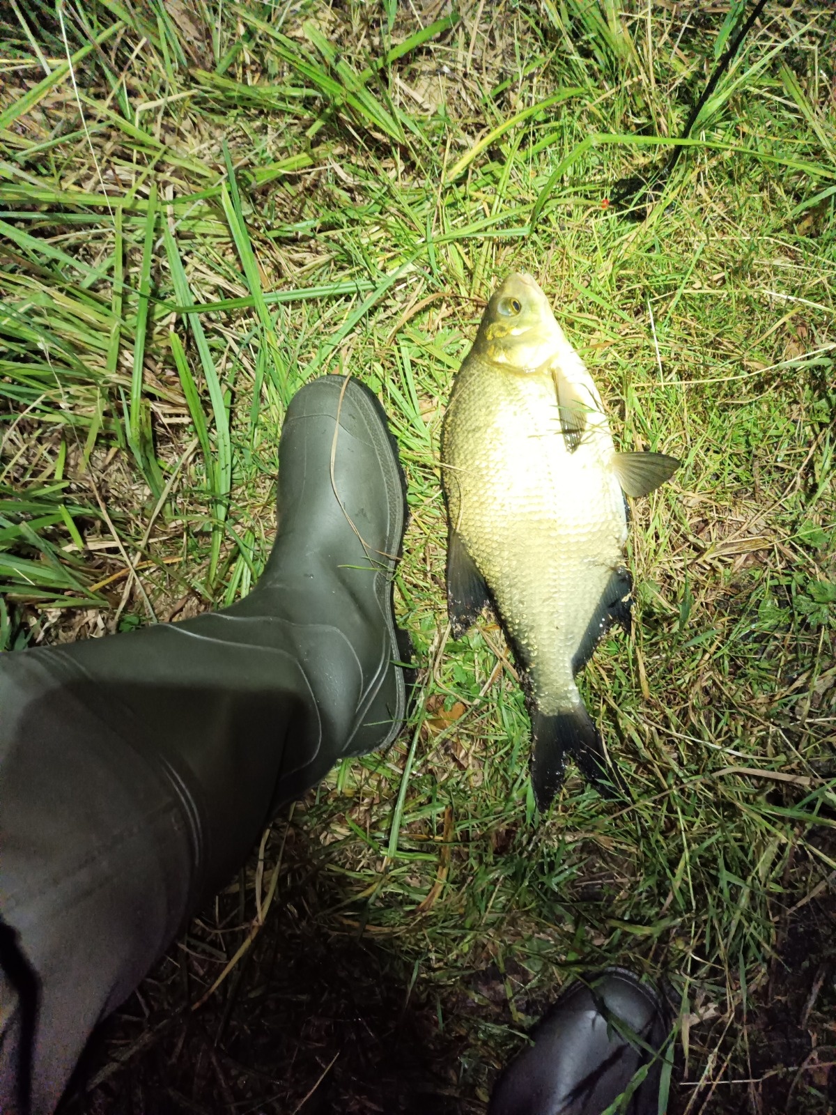 155bc033-71e5-4089-ac98-7cec609c64b7