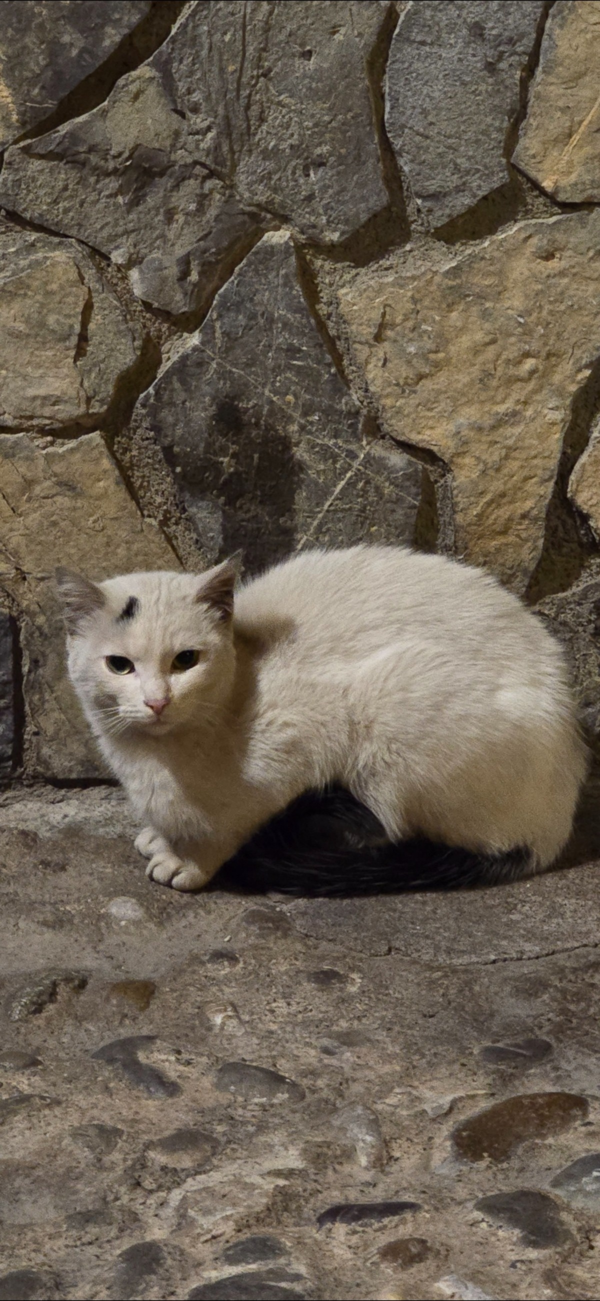 e996c2d0-58de-499e-89df-a56efd9e8f61