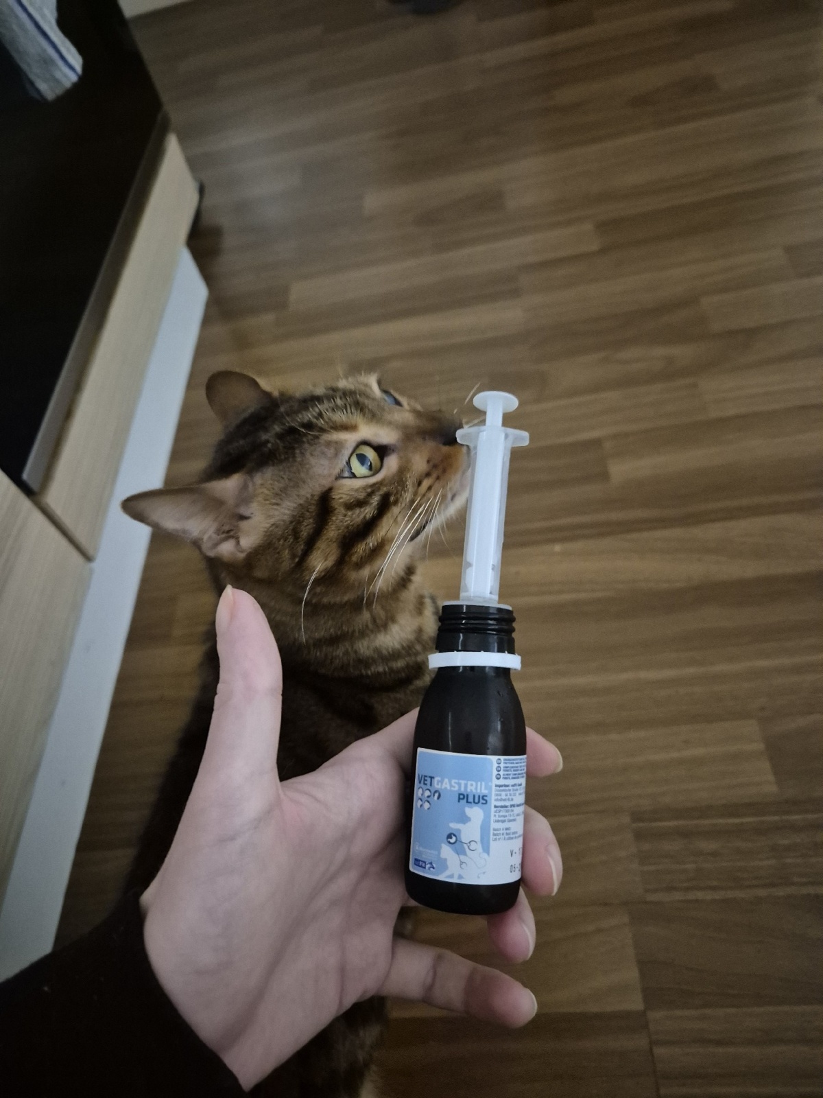 80073103-5861-4292-a326-7688cbf63768