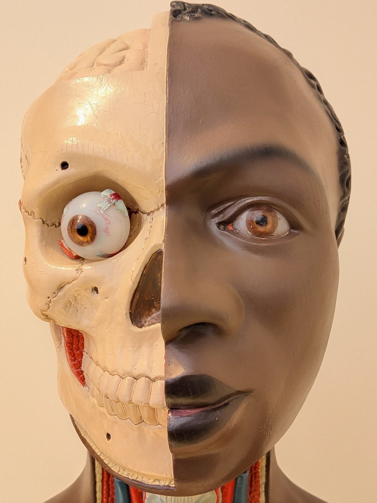 c02778c8-2e48-44b0-9717-e65d0af8f62e