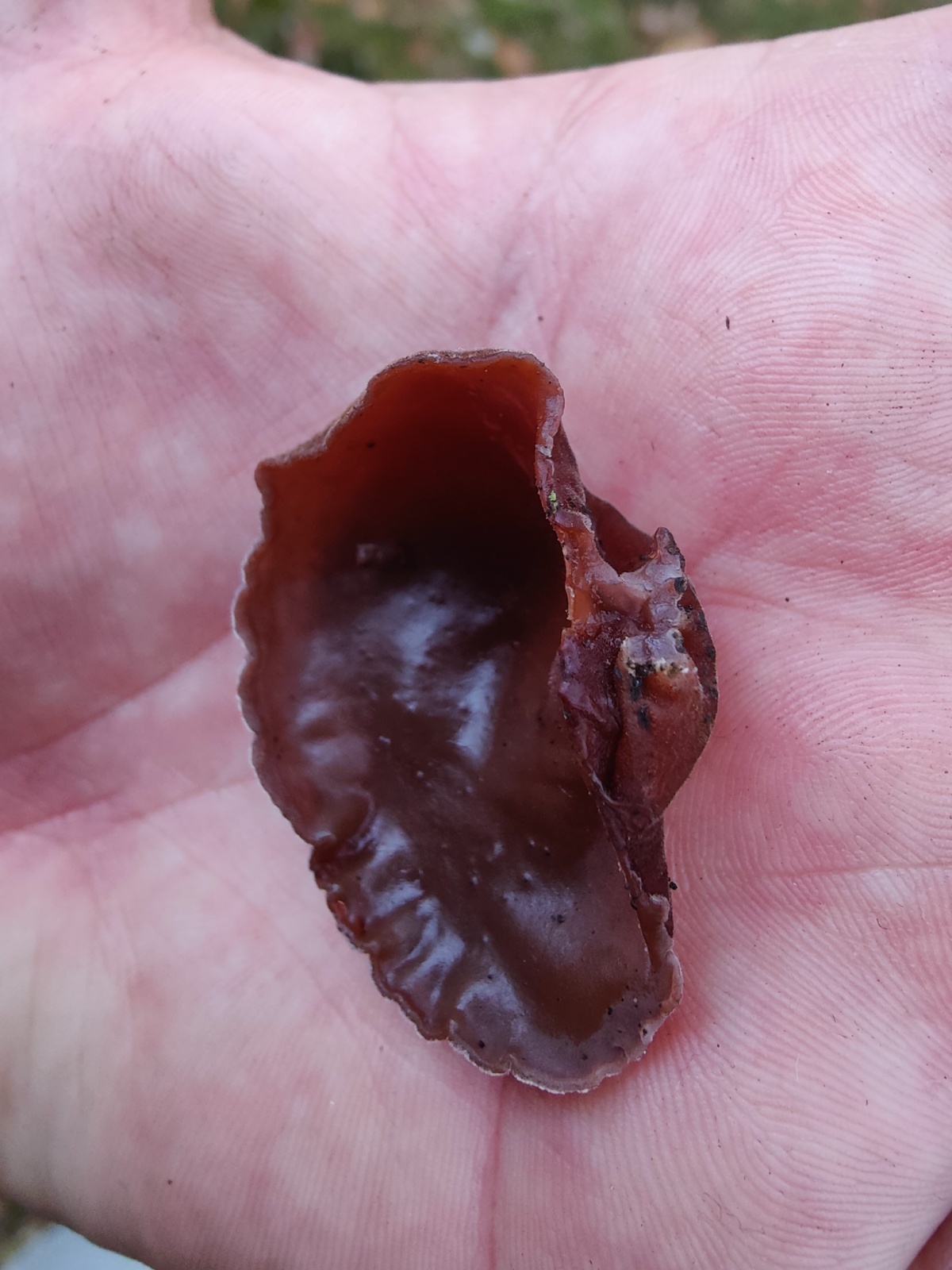 59848f6e-fa76-49a8-b483-5fddeee327a8