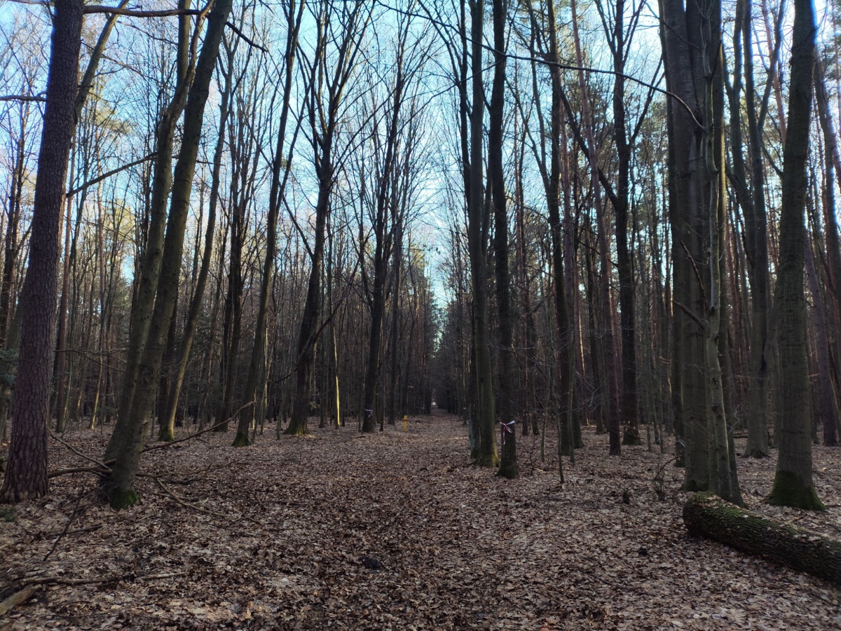 7290bfaf-acba-4831-a681-f1dc91ffc8b0