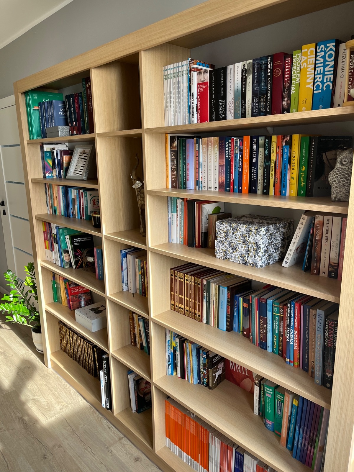 0d00b774-42be-434a-93ad-3b199d234fab