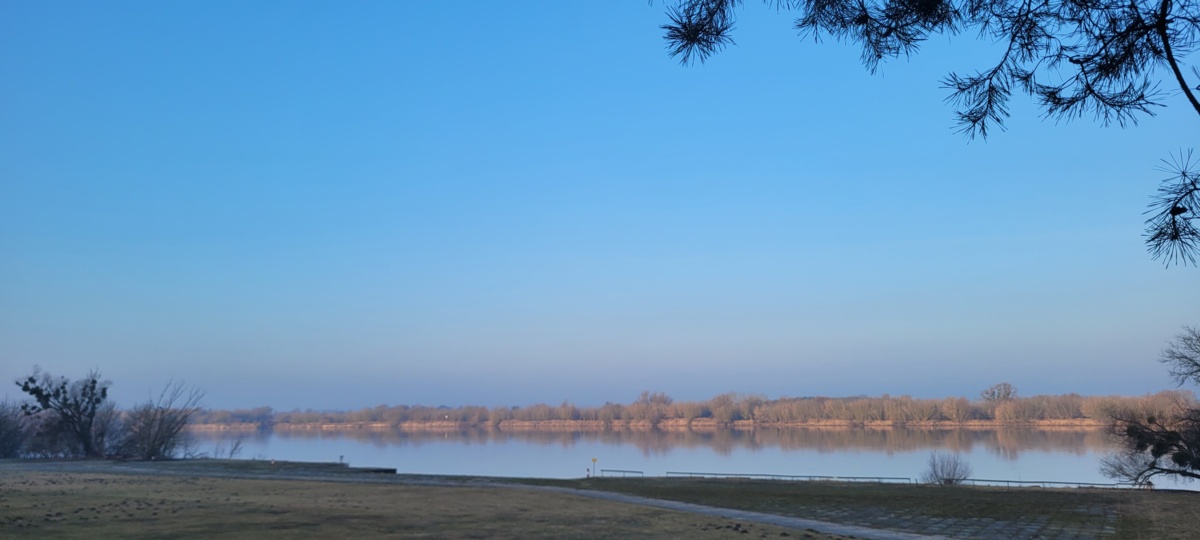 4de9d153-2856-49d4-9dc0-8c74705d74fc