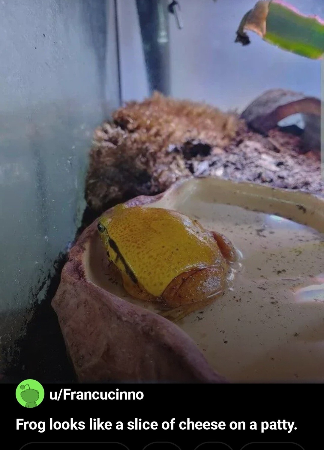 2f1d6235-ab3d-4d2a-abc4-32464e2e9473