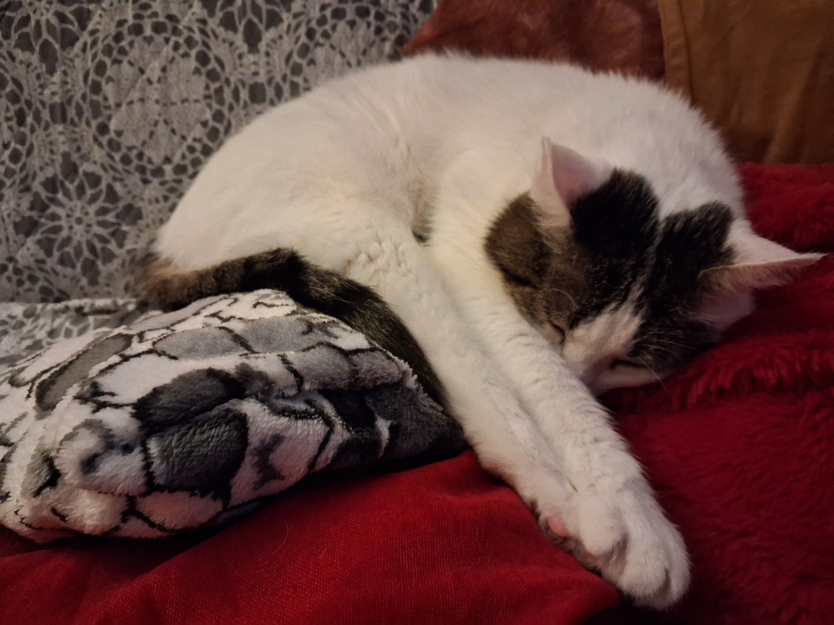 bfba83a3-a8d1-41de-aabd-08958a1f295c