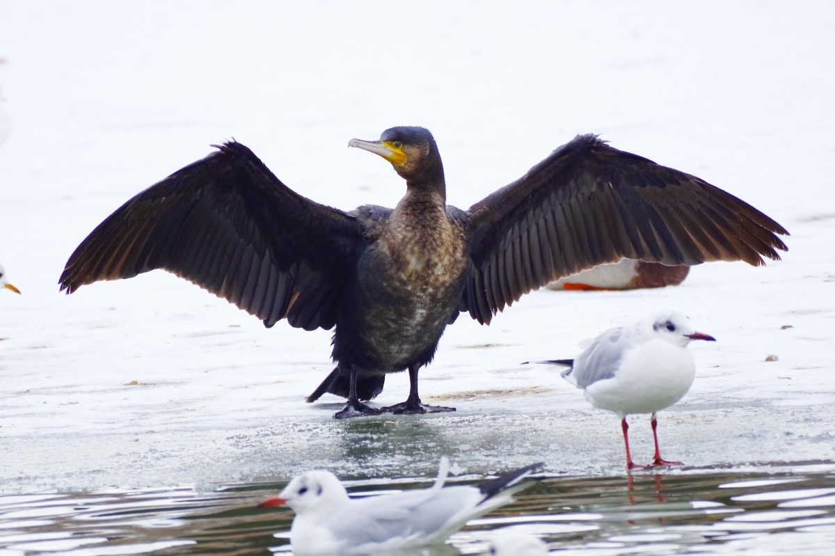 e9df2c8f-e1cc-4308-9319-59b0e1fd9248