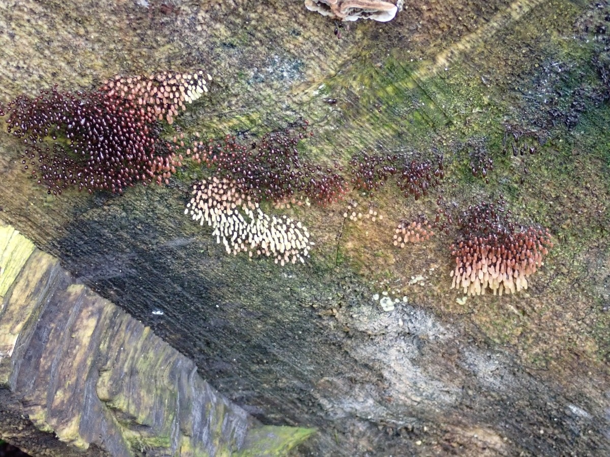 7f64e762-6927-4e17-97fb-30896d8b0bea