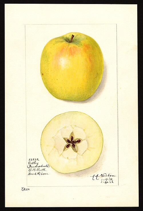 85655519-dae6-4ecc-9add-61ad0c5cb1a5