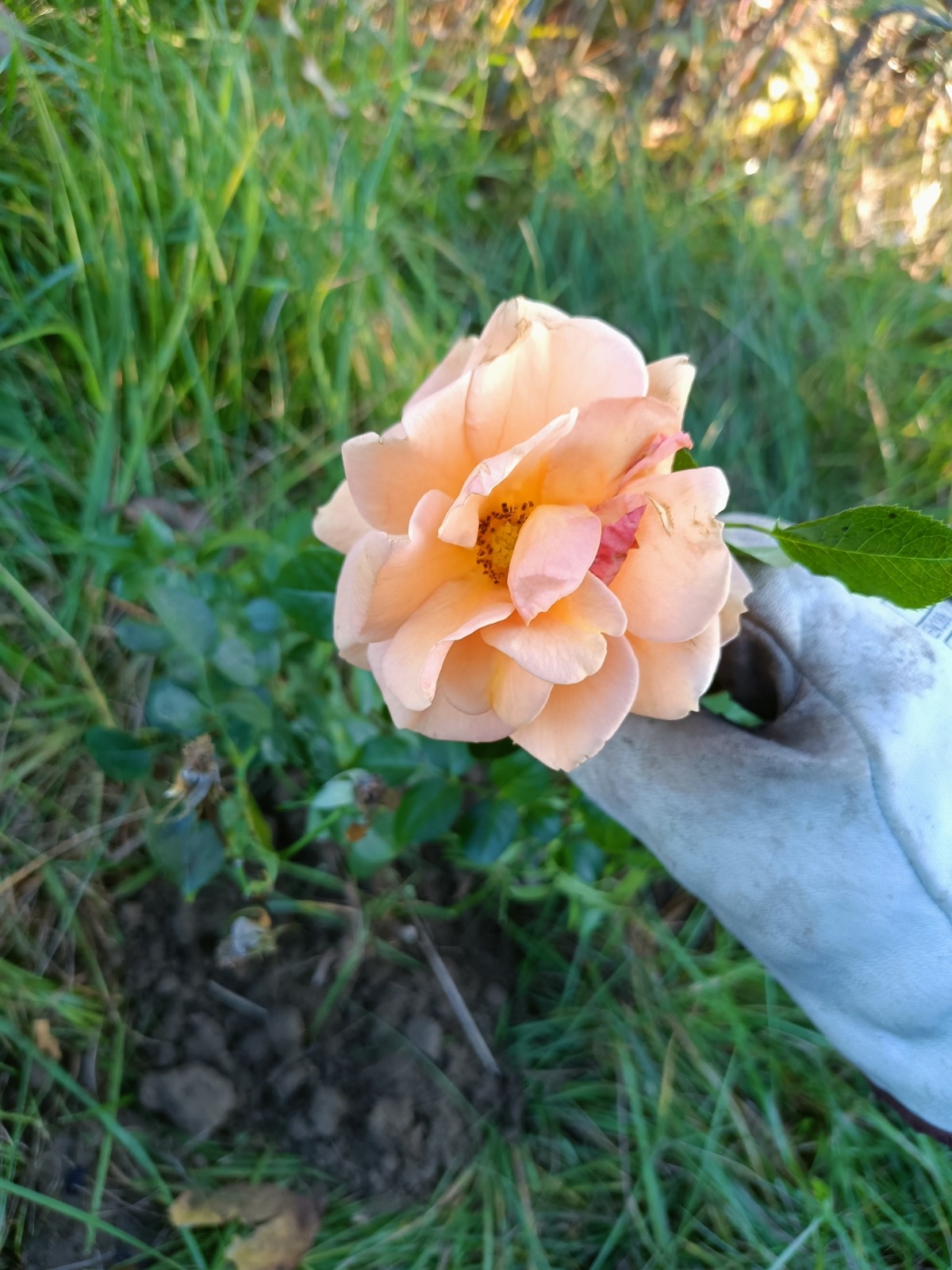 7d7c2952-b91b-4627-9f34-86f2450939db