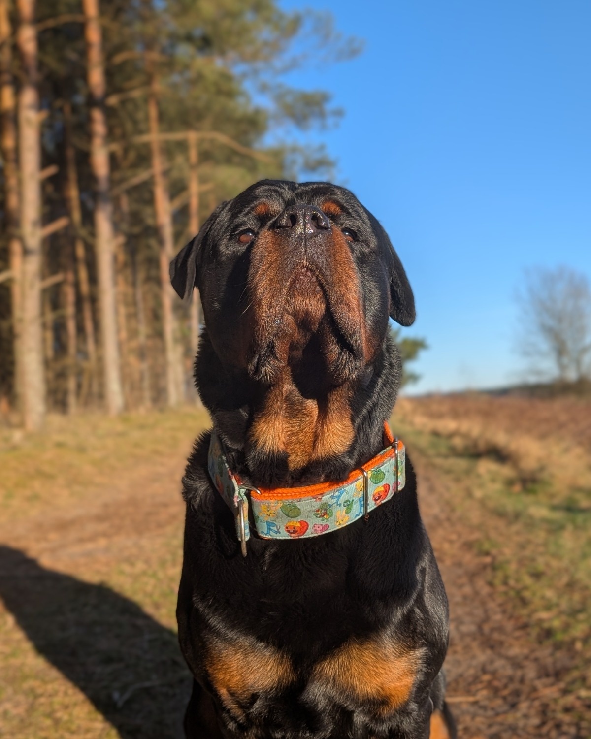 89bd5bca-c915-4149-9b31-071208884fd3