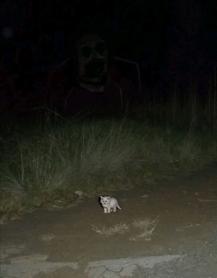 a3318d89-7518-4704-9568-3240e8ba92c7