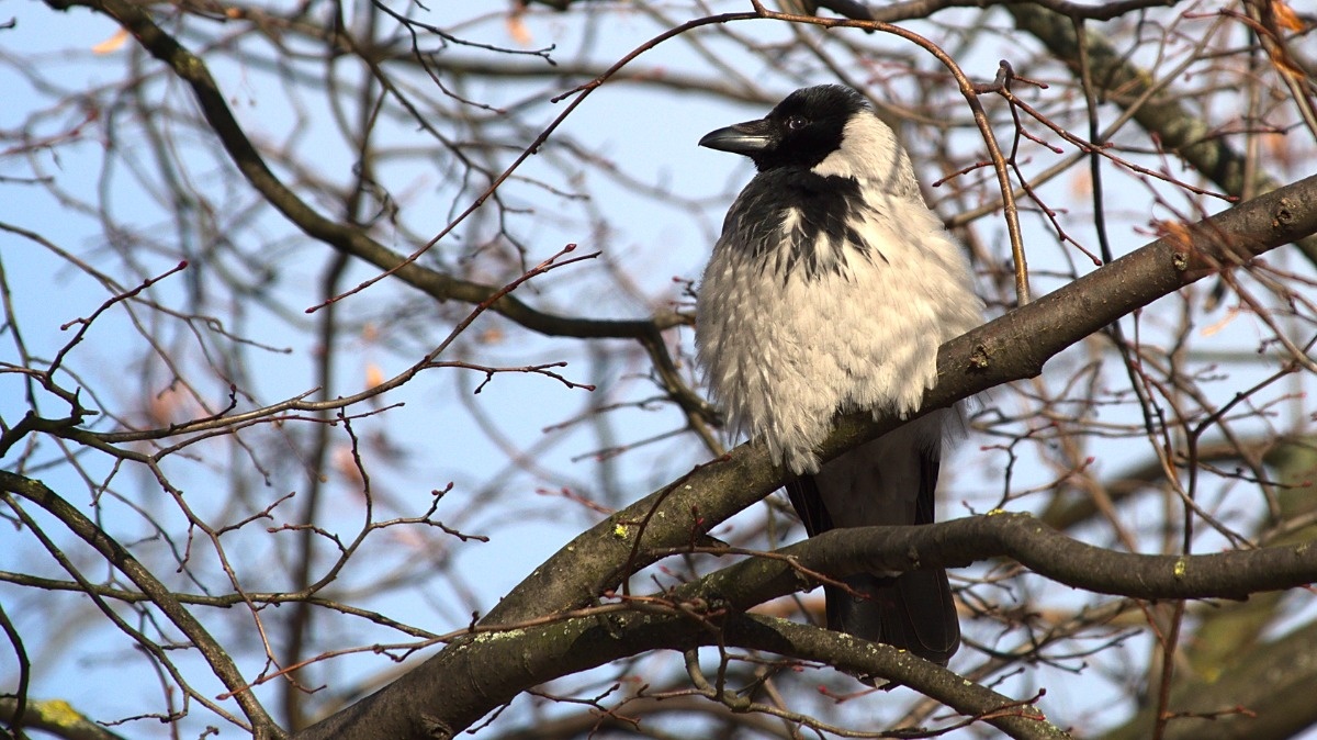 31365e46-c31e-482e-a04f-6c26534cca23