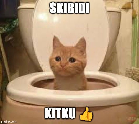 657573f5-c0f6-449a-a618-84b22b26cb7c