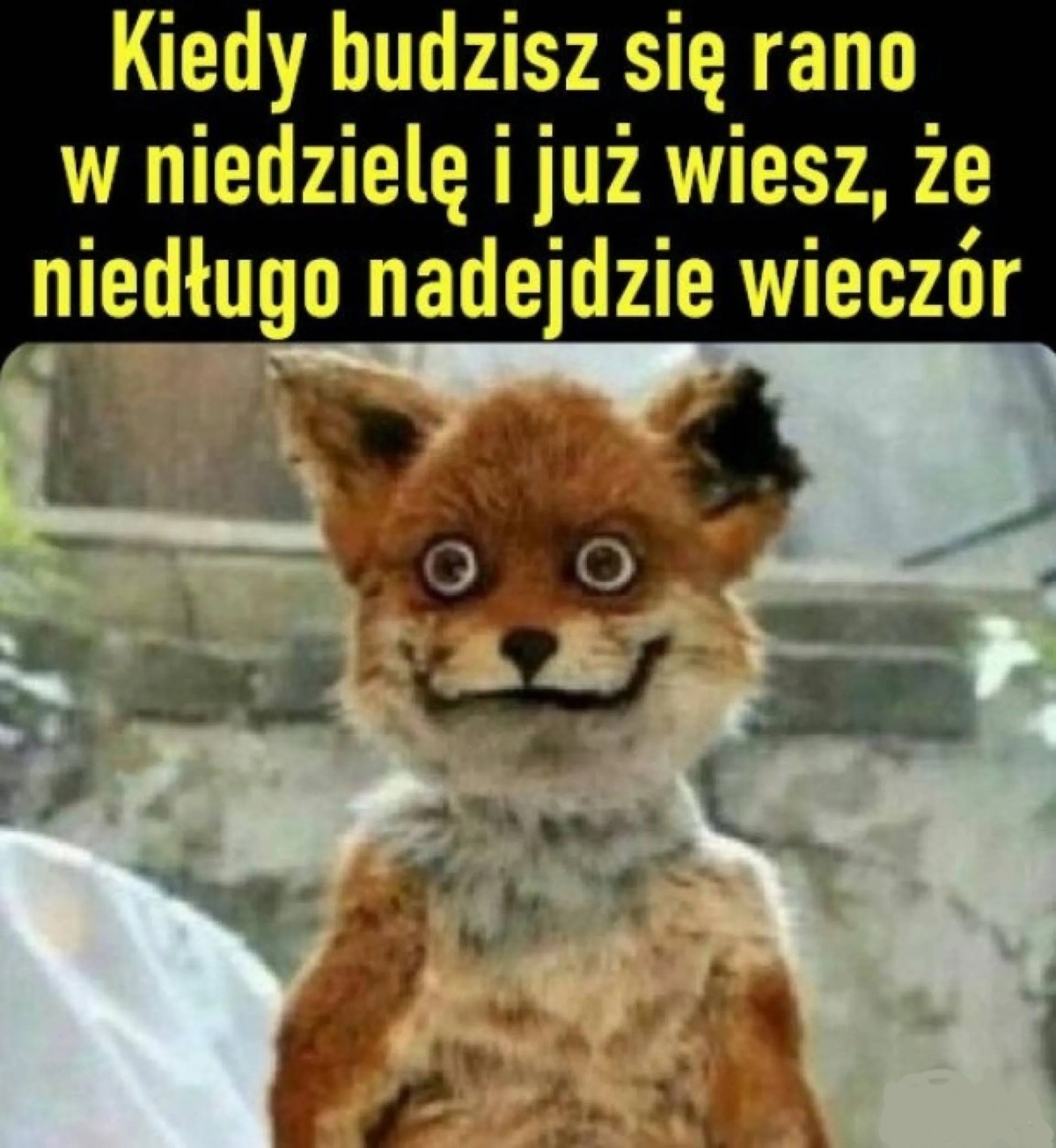 c1b9ab0a-697c-4126-a62c-df1f772e97da