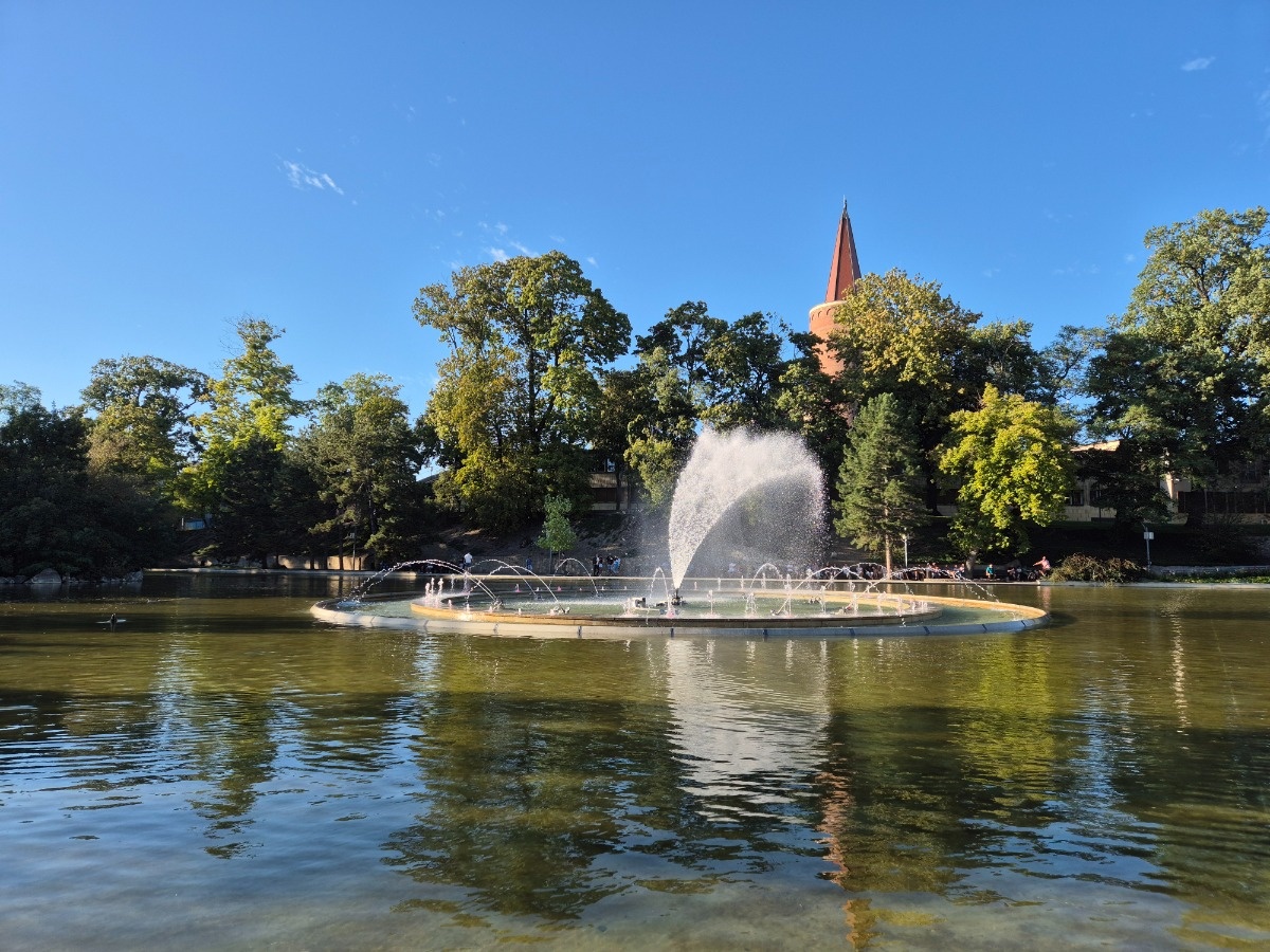 dd653818-9e96-417c-84a3-cac4df67dcfe