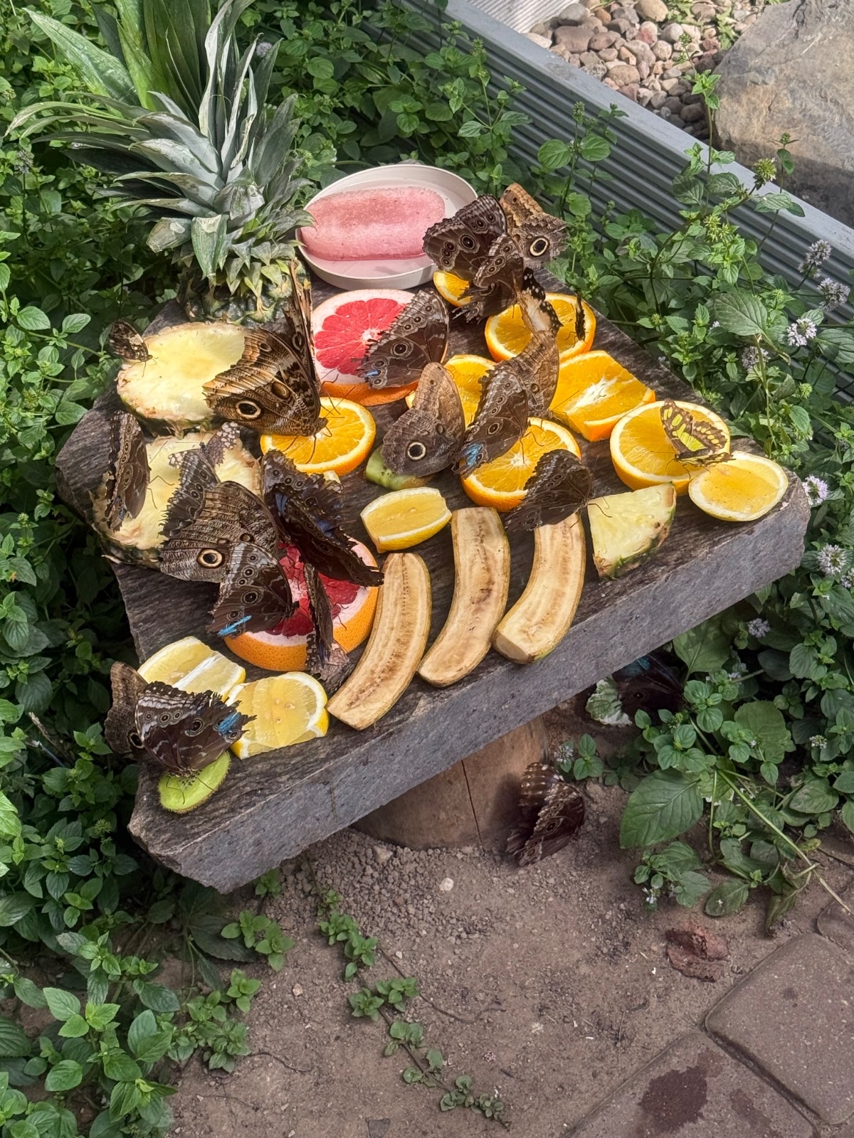 676e2067-721e-404e-b4f8-71d208331d88