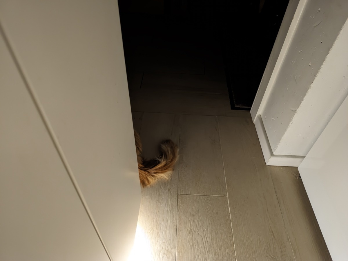 bfe53a73-be10-4cf3-a6a6-195bee79e13a