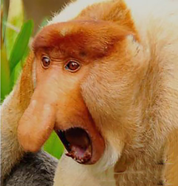 1f914531-6095-40ed-89f2-933bfd3fc43f