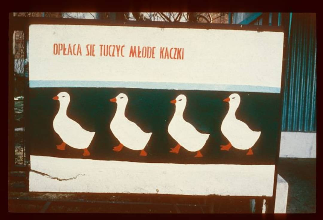 a20cc684-dfa9-4de5-b55e-9a2dd5ff1127