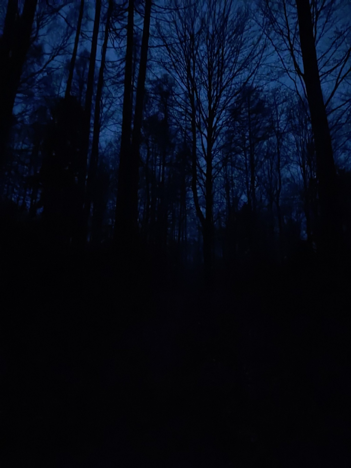 97a9b2c4-2ea4-417d-88f3-cf6b4ad55ef3