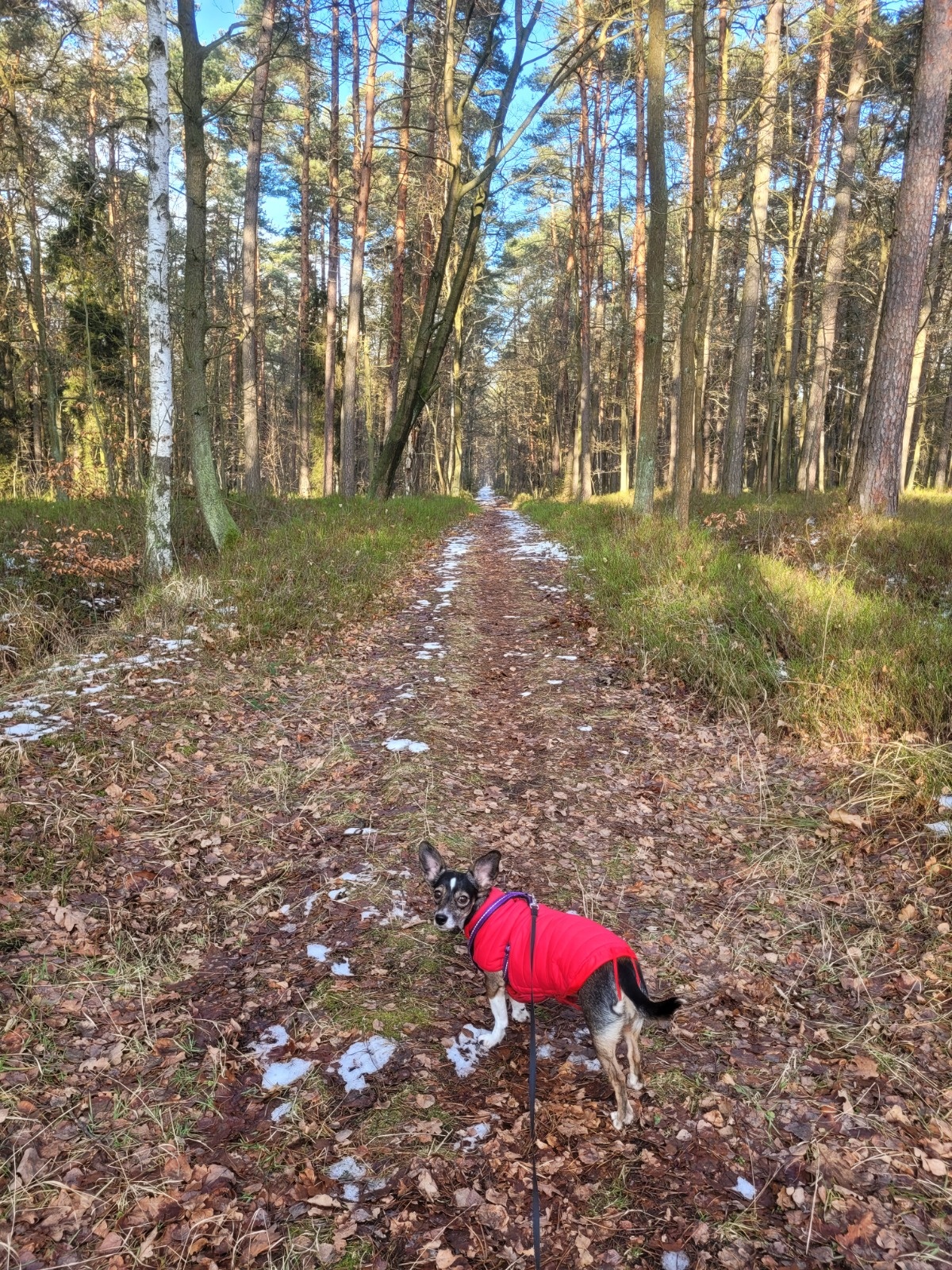 29cd1ef0-217c-490e-9b69-6574a2a19916