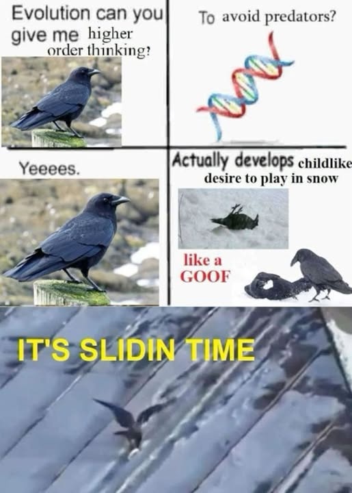 49854eb6-3000-4857-9af0-51c409819705