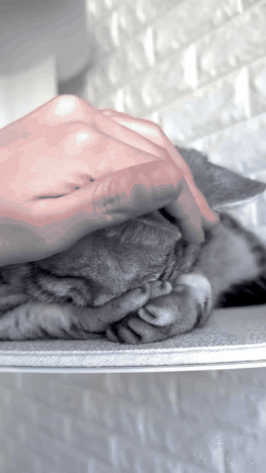 8cb64a97-2001-4f30-963a-69f0be16822a