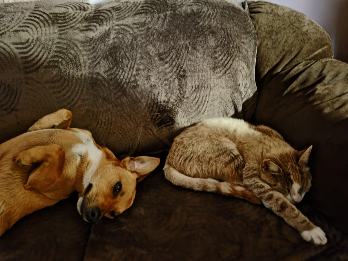 cc34e565-8aec-4777-be70-107c9f3db0a2