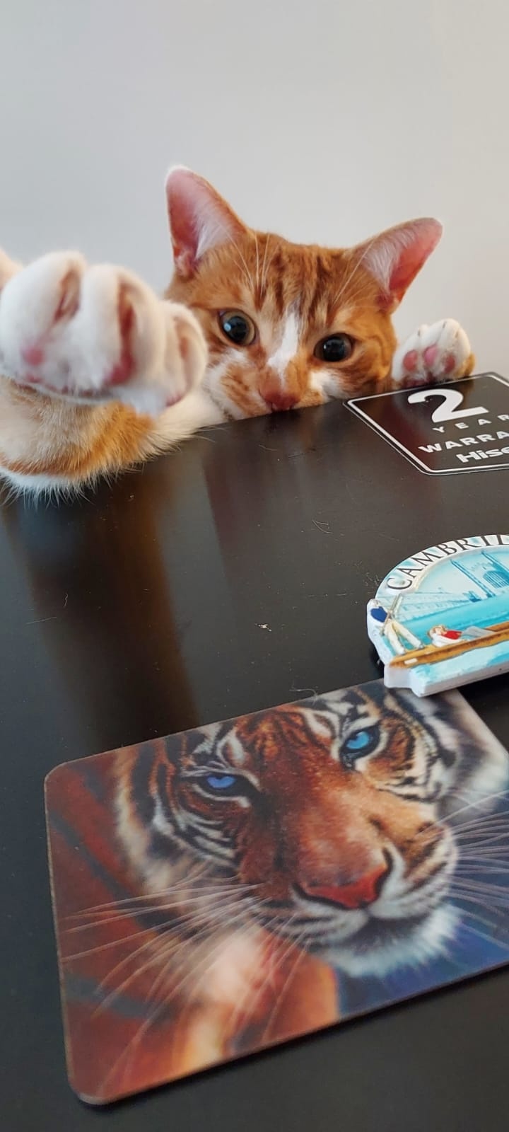 9f67fdab-48bc-4813-bef1-95e2a810caf0